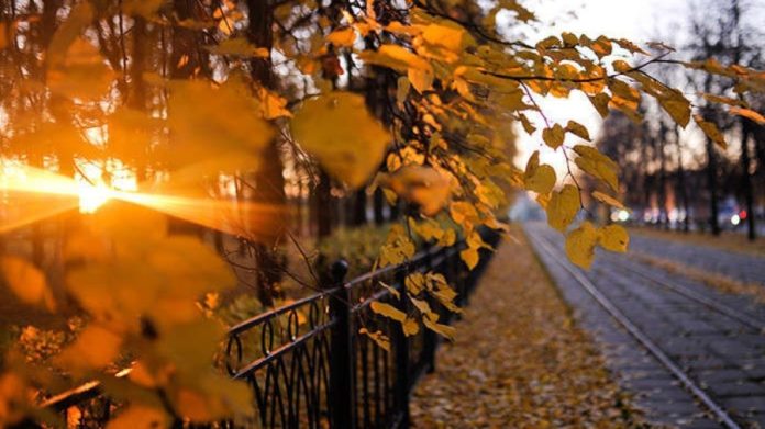 Календар 17 листопада: міжнародні ініціативи, медичні нагадування та українські традиції