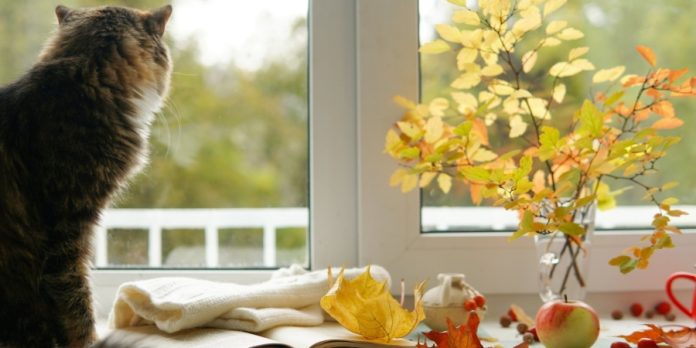 Нове значення 20 листопада: державне свято, міжнародні традиції та народні застереження