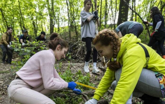 Перший в Україні терапевтичний сад – новий крок у реабілітації військових та постраждалих