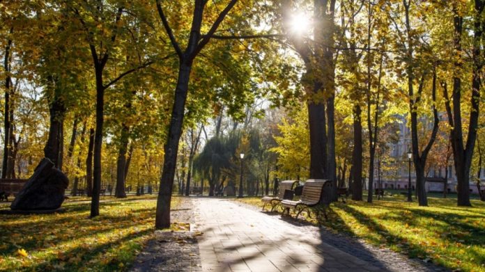 Після вітряної негоди в Україну прийде стабільна осіння погода