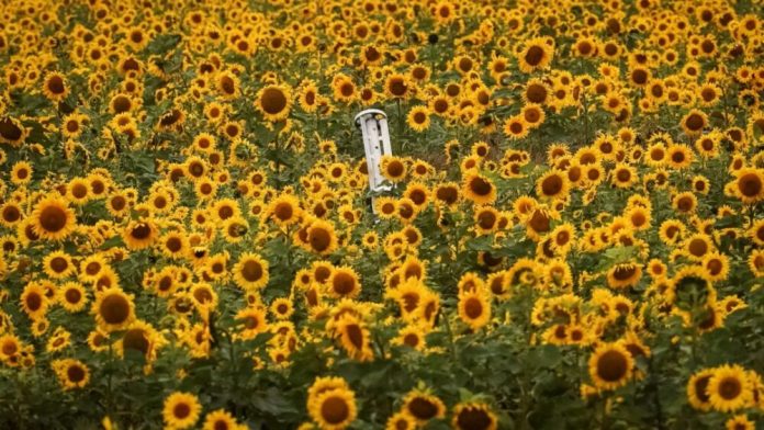 Україна без “торговельного безвізу”: що змінюється у торгівлі з ЄС з 6 червня
