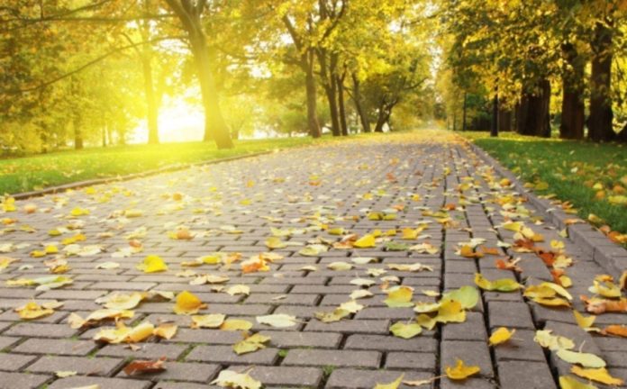 В Україні 21 вересня очікується сонячна і тепла погода
