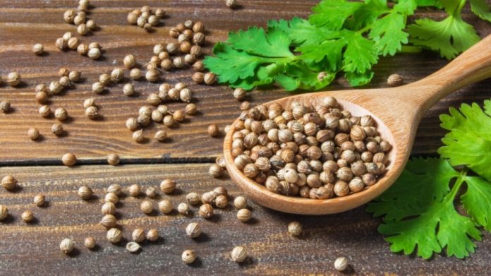 Коріандр — природний захисник серця та судин