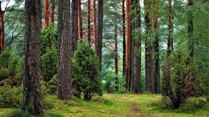 Суперечності в управлінні 