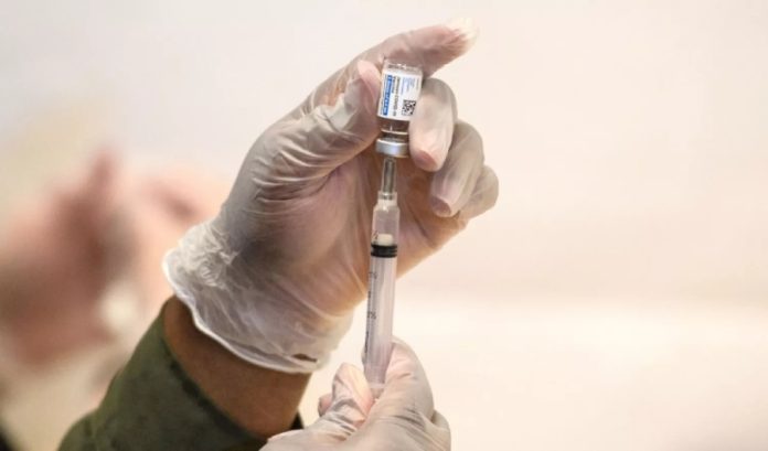 Японські науковці заявили про прорив: бактерія з потенціалом знищення пухлин