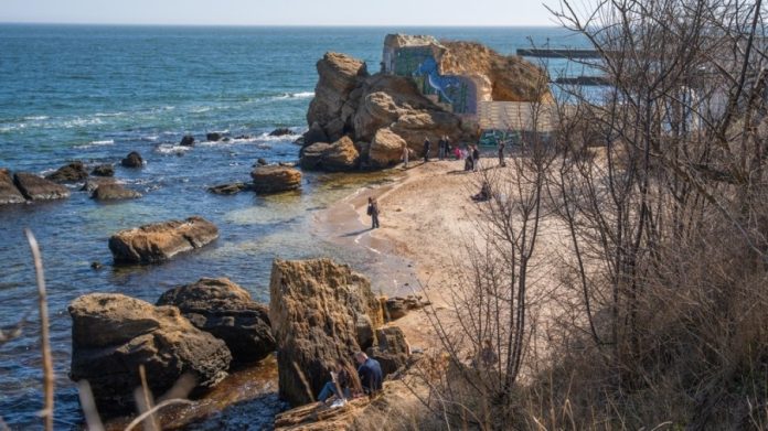 Забруднення узбережжя Одеси: на міських пляжах зафіксували підозрілі плями та загибель птахів