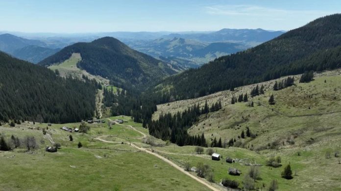 Придбання активів у Карпатах: що відомо про бізнесмена Ігоря Хмельова