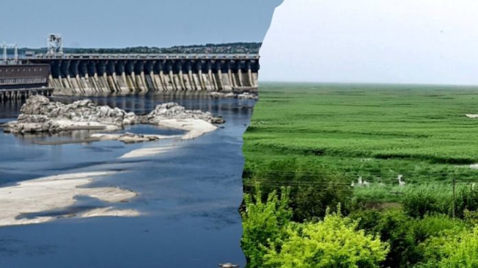 Екологічні зміни на місці Каховського водосховища: нова ера для півдня України