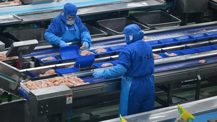 МХП розширює горизонти: український агрогігант інвестує в грецького виробника курятини
