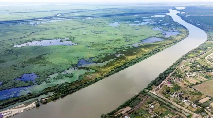 Критичний спад рівня води в Дунаї загрожує судноплавству в Сербії